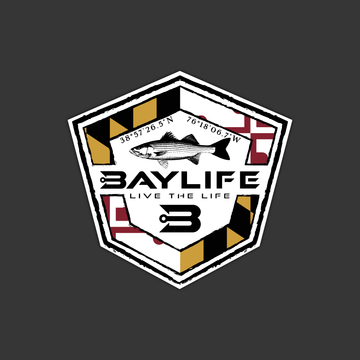 Bay Life Sticker | Maryland Rockfish