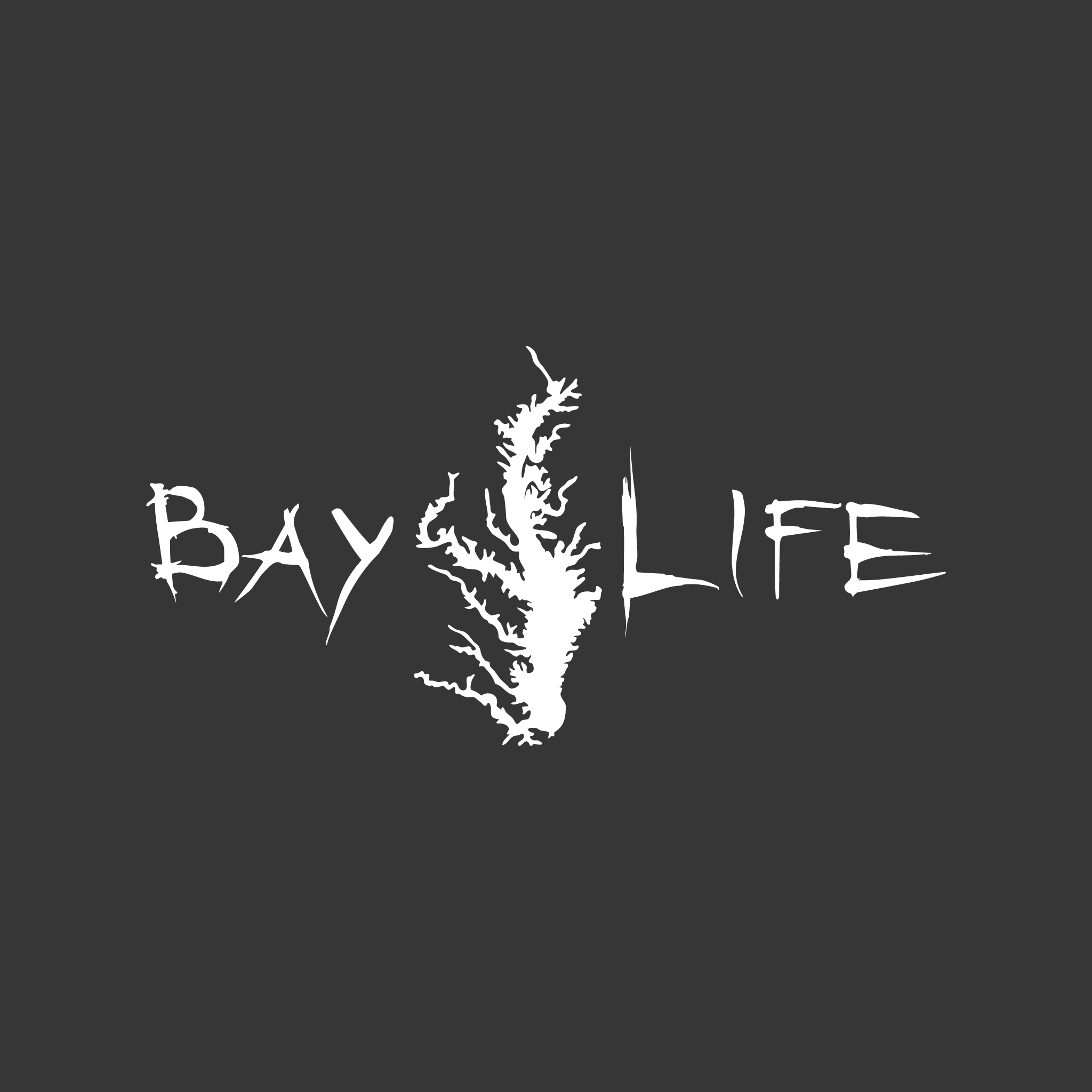 Bay Life Decal | Chesapeake Bay